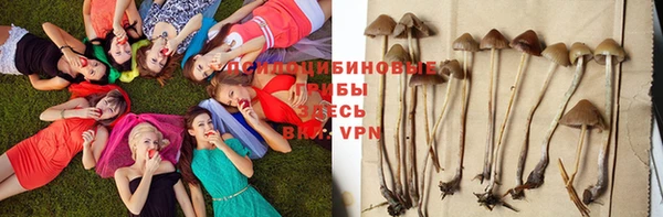 молекула духа Арсеньев